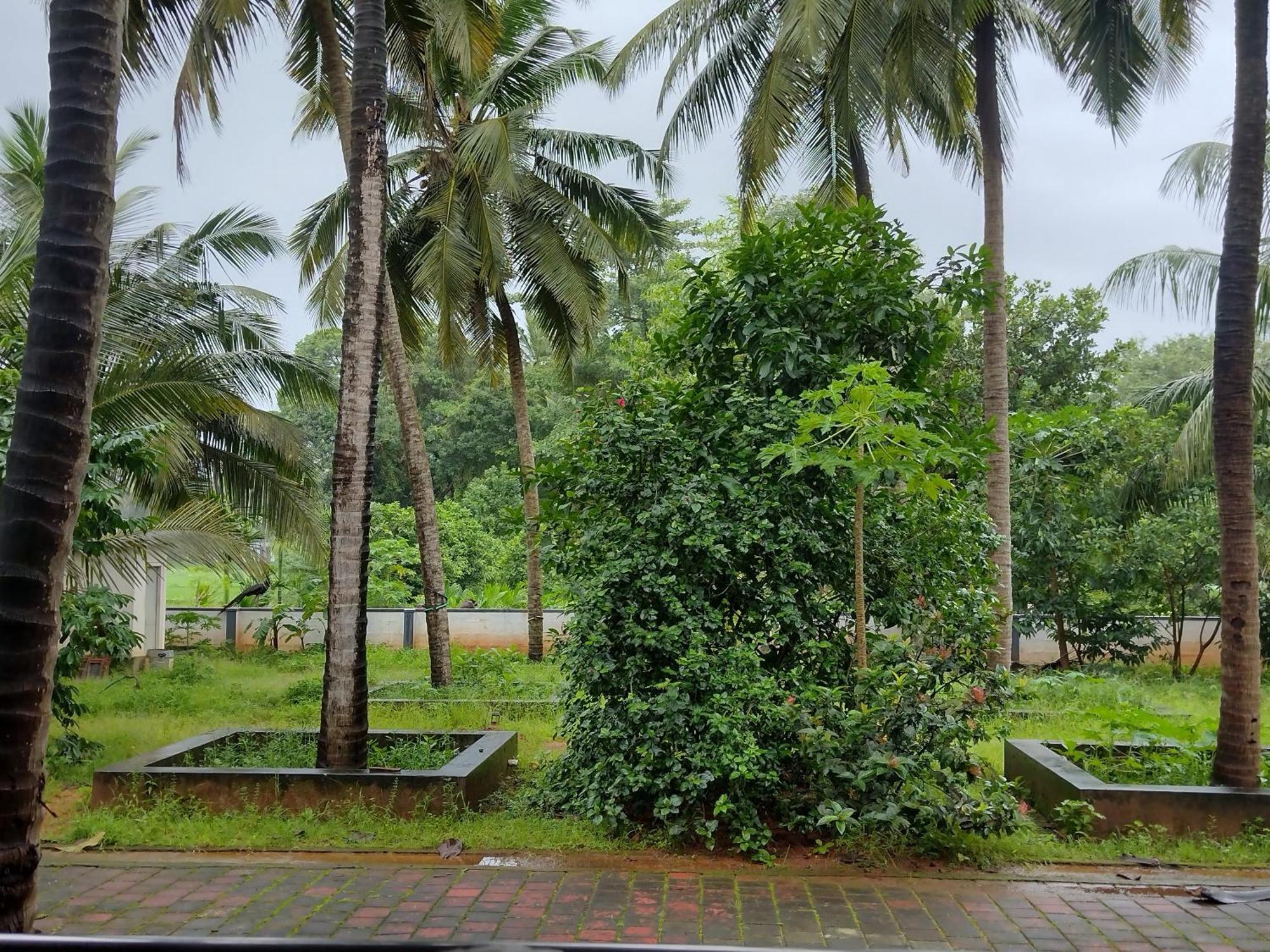 Jayadurga Farms - An Eco-Friendly Homestay Udupi Eksteriør bilde